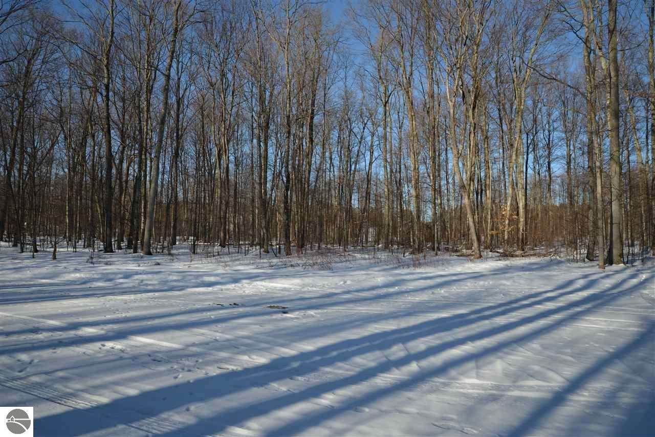 #44 Fox Den Lane - Photo 1