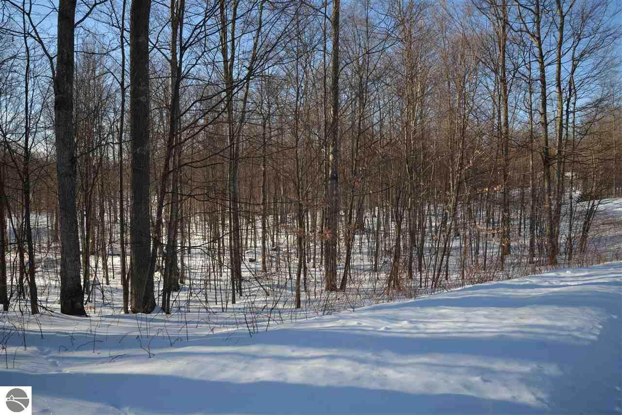 #46 Fox Den Lane - Photo 1