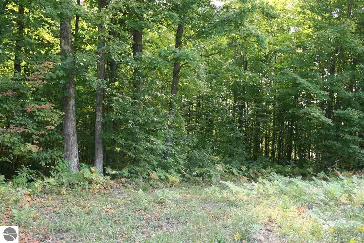 Parcel B Twin Lake Road - Photo 1