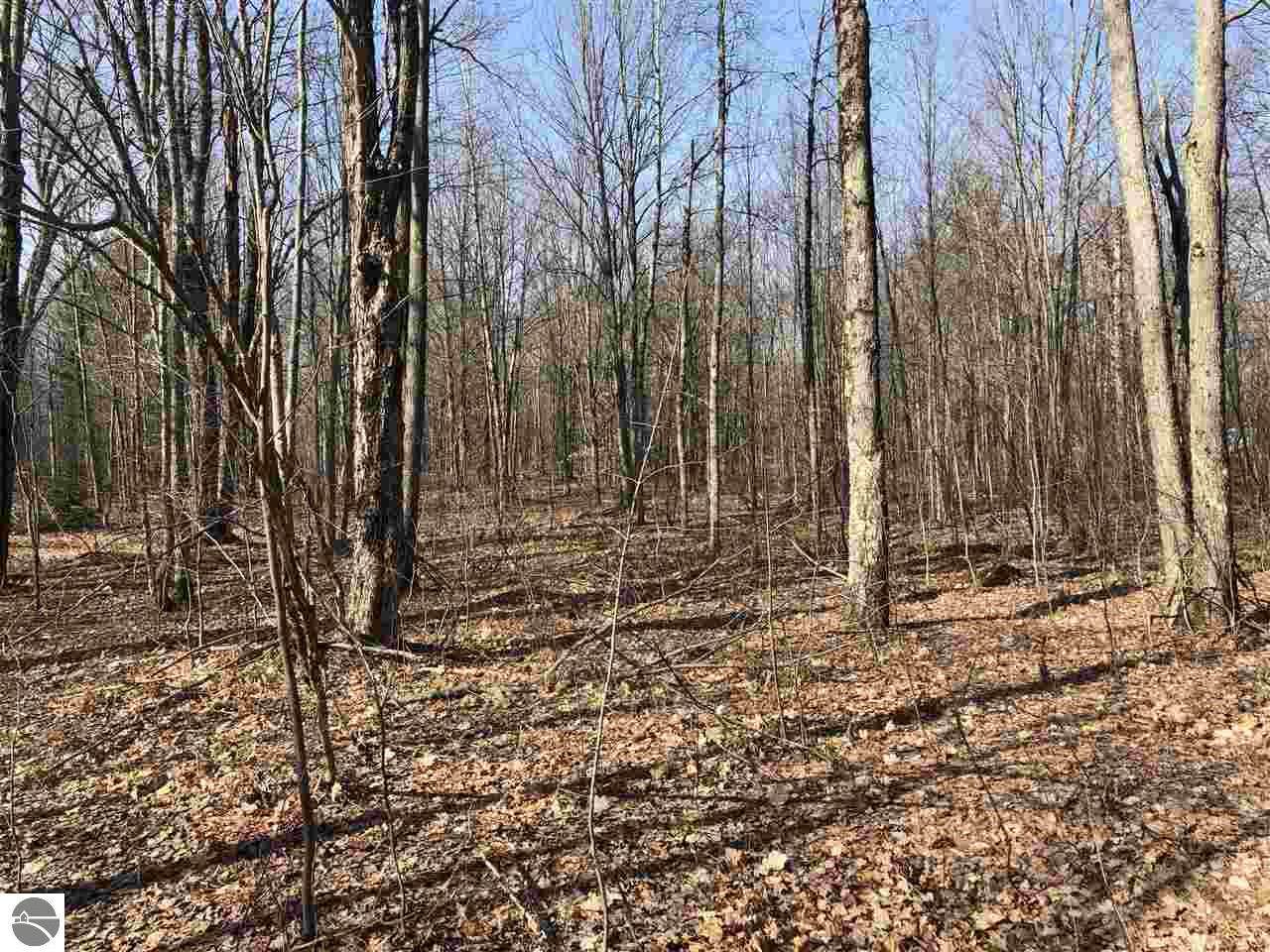 7925 Gibby Road - Photo 1