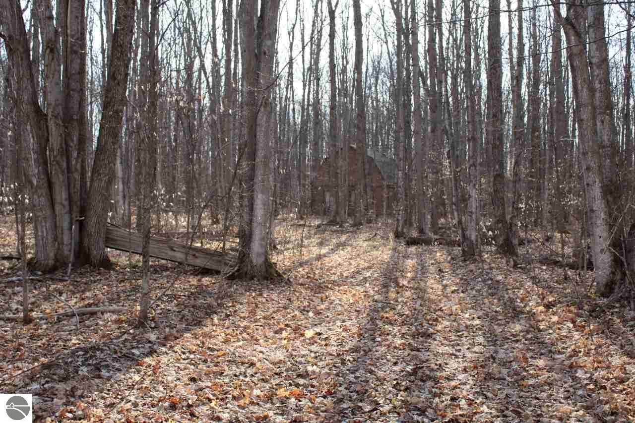 001 Wheeler Lake Road - Photo 1