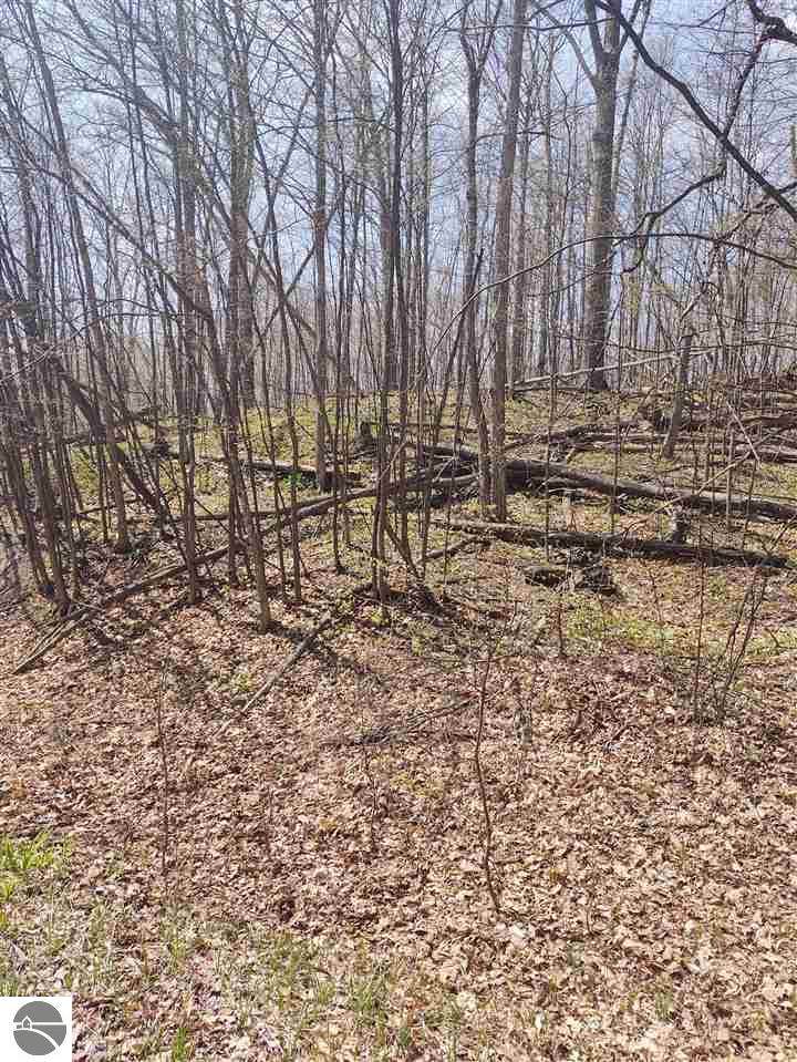 25 Trout Run - Photo 1