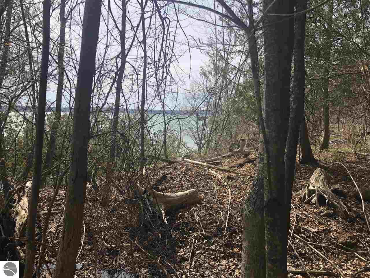 000 Torch Lake Drive - Photo 1