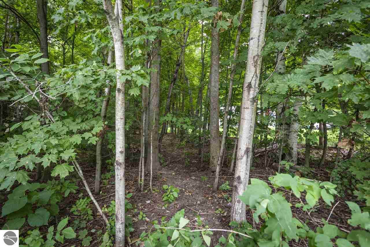 8285 Forest Drive - Photo 1