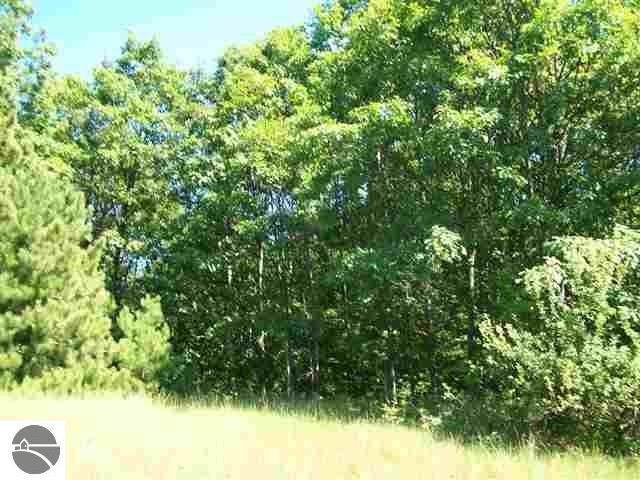 Lot 9 Torch Hills Lane - Photo 1