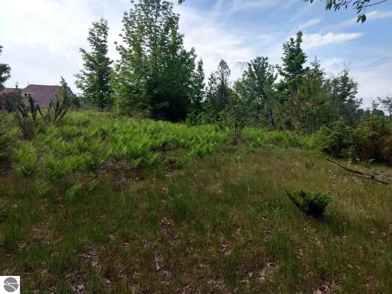 000 Weathertop Drive - Photo 1