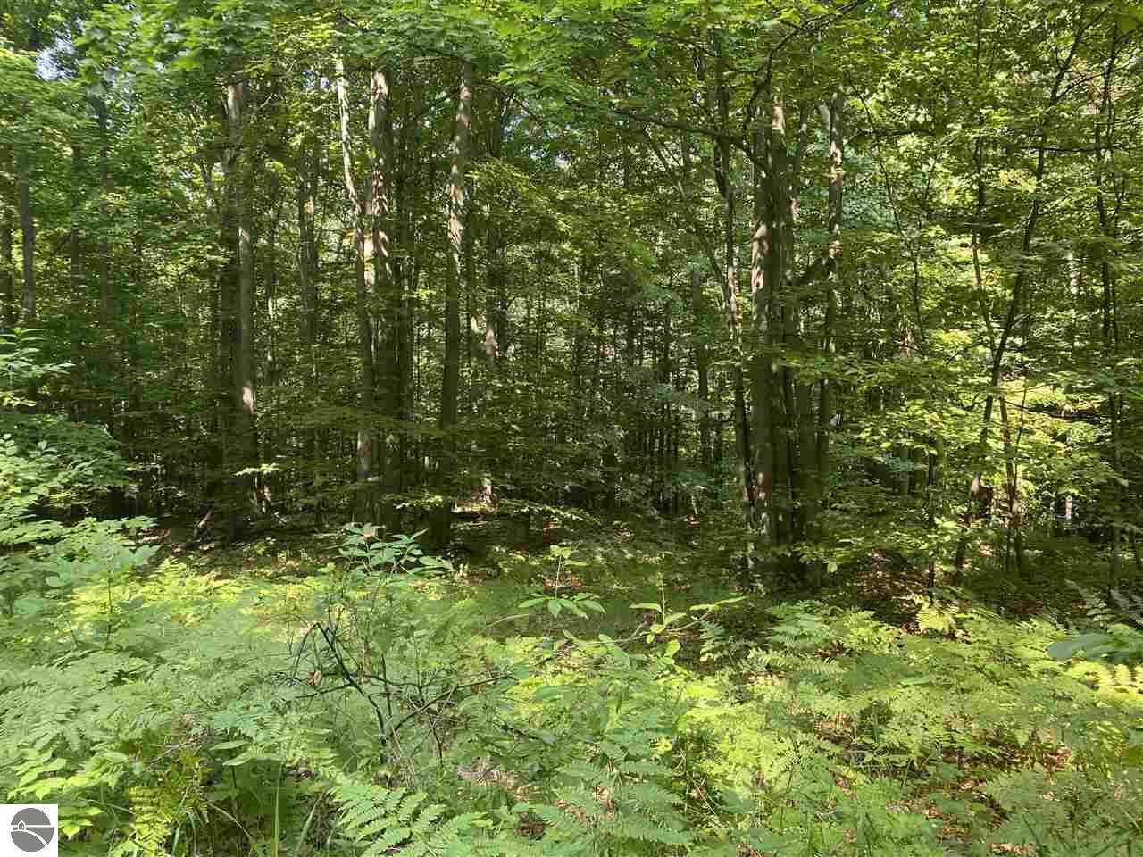 Lot 15 Wind Ridge Drive - Photo 1