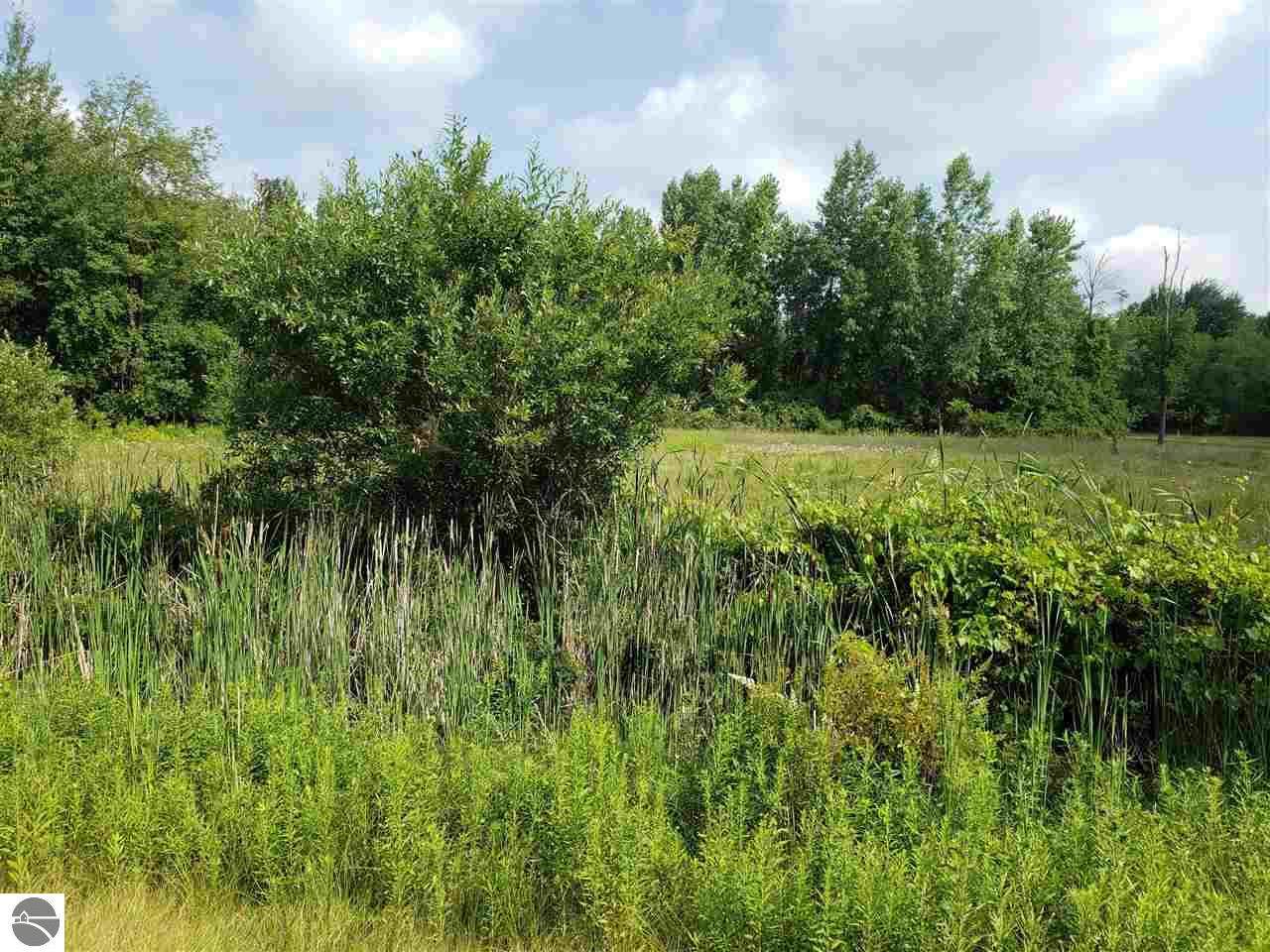 N/A Huron - Photo 1