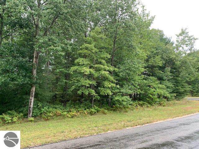 Lot 30 Twin Birch Road - Photo 1