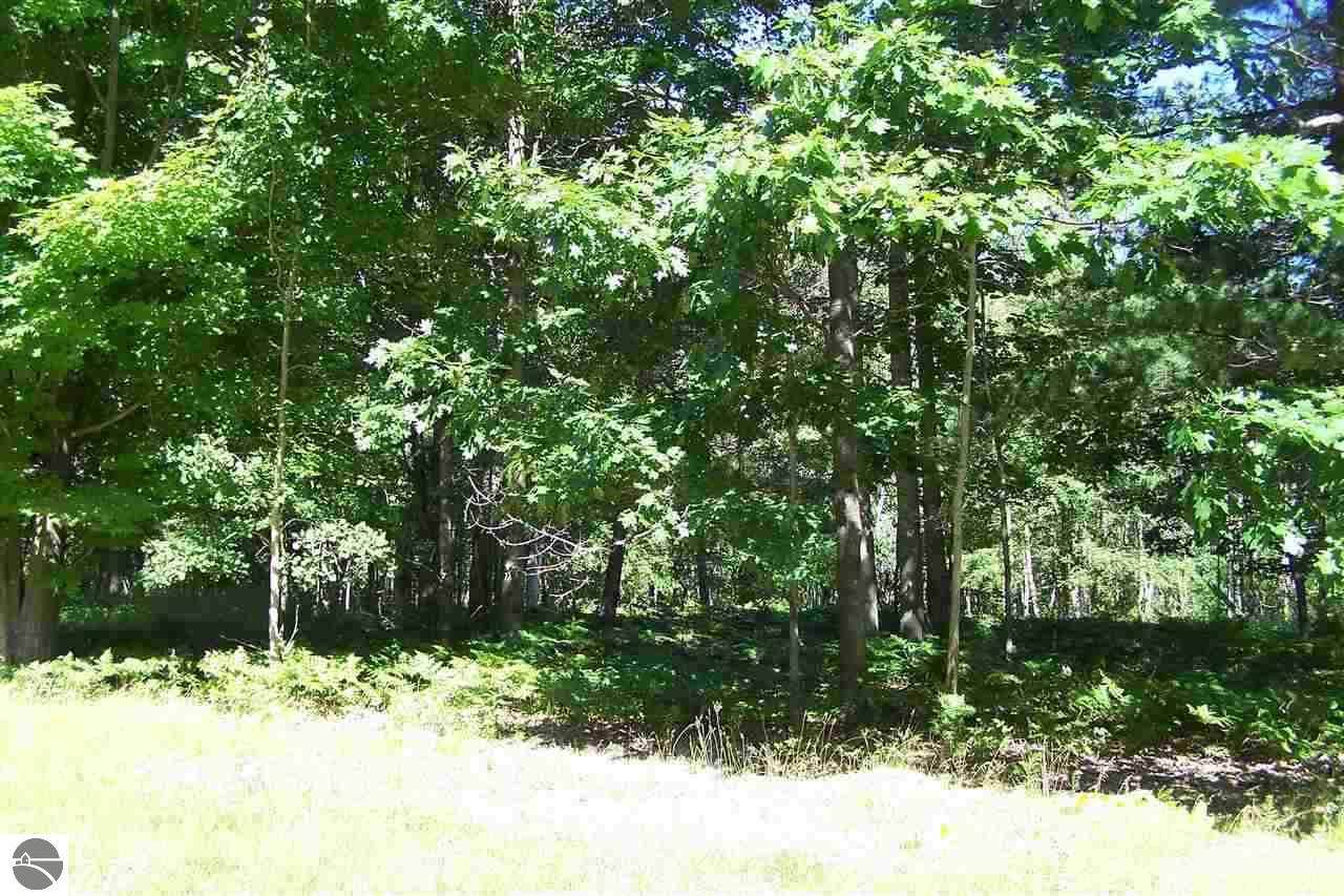 5807 Huron Woods Drive - Photo 1
