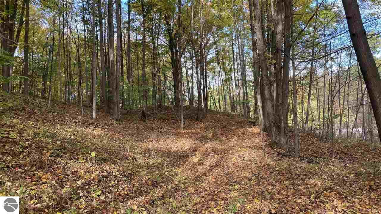 Parcel D Shanty Creek Road - Photo 1