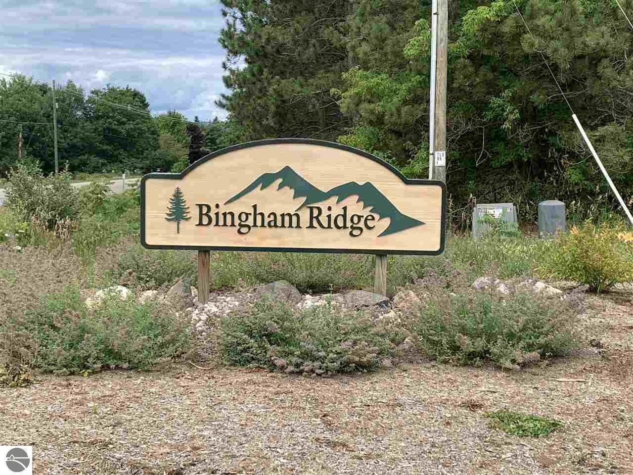 7815 Bingham Ridge Drive - Photo 1