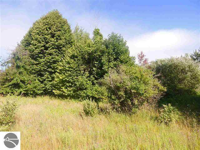 00 Lot 4 Grace Road - Photo 1