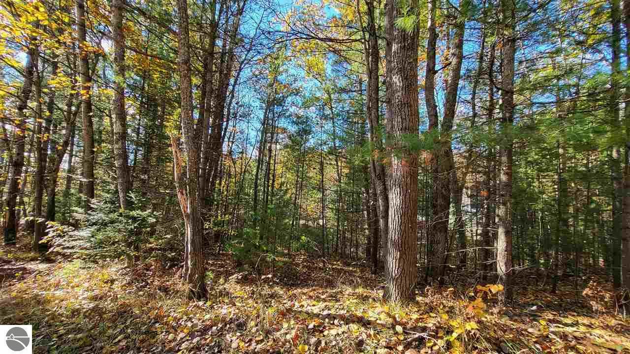 0 Birchcrest Drive - Photo 1