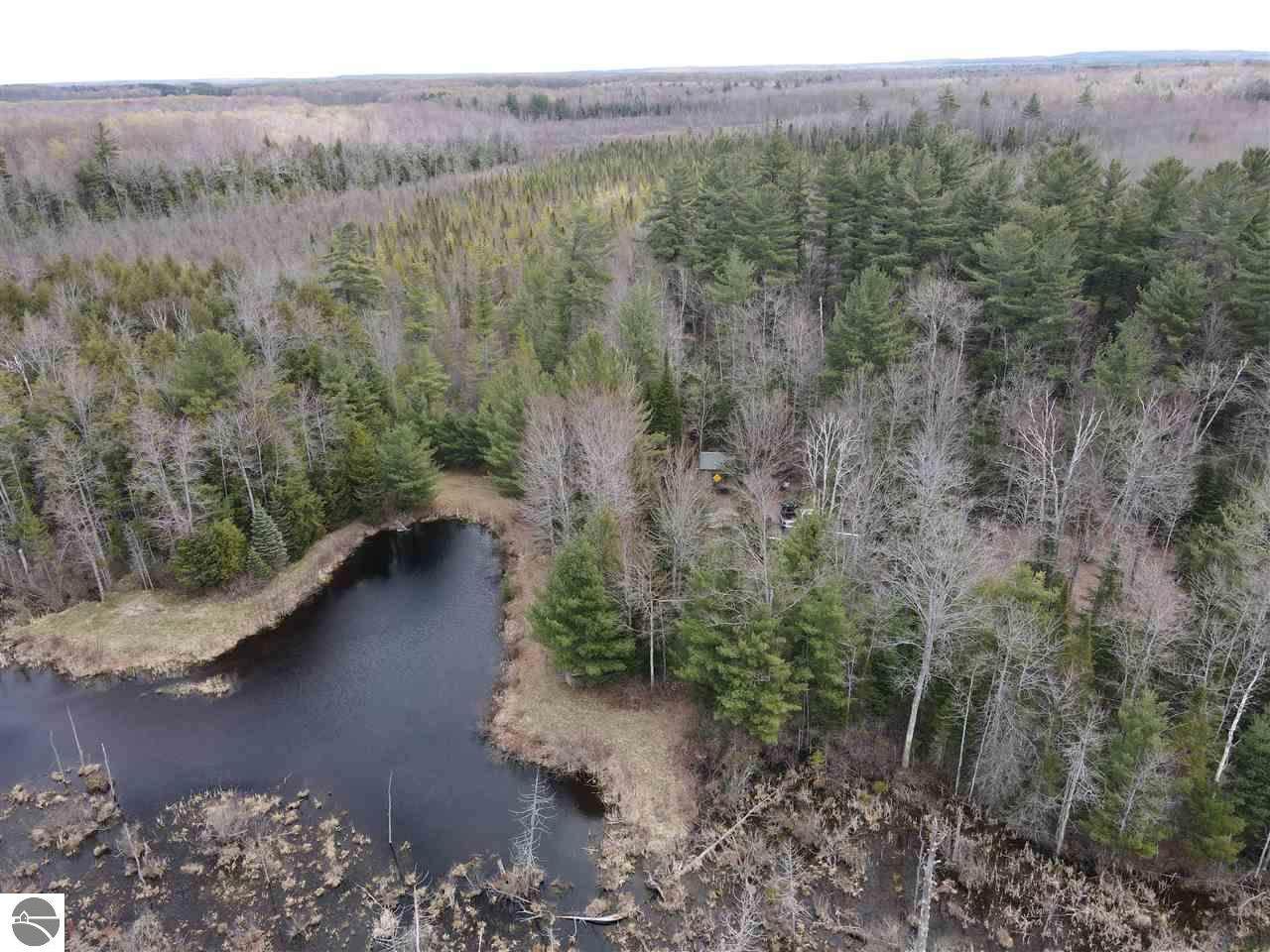 000 Sharon Road - Photo 1