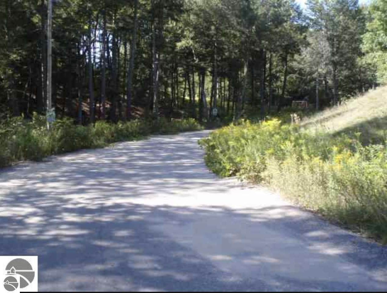 Lot #12 Timber Valley Court - Photo 1