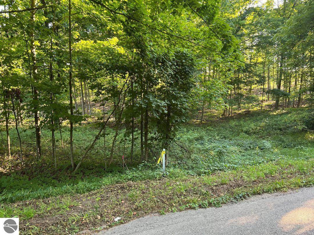 00 V/L Potter Road - Photo 1