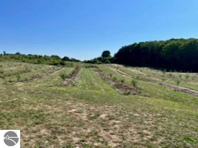 6710 East Traverse Highway - Photo 1