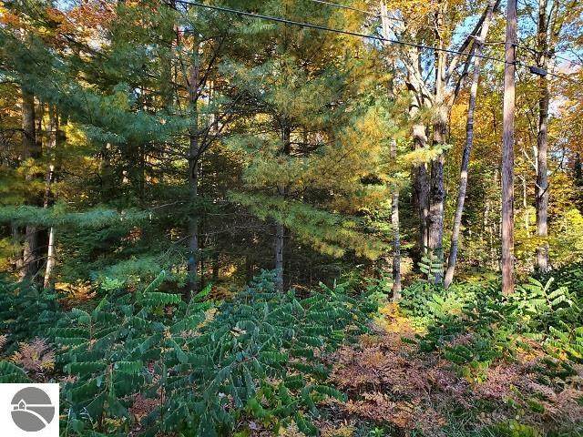 0 Scenic River Drive - Photo 1