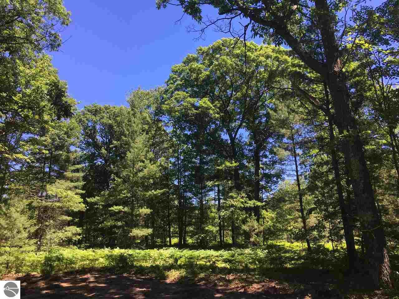 lot 9 Supply Road - Photo 1