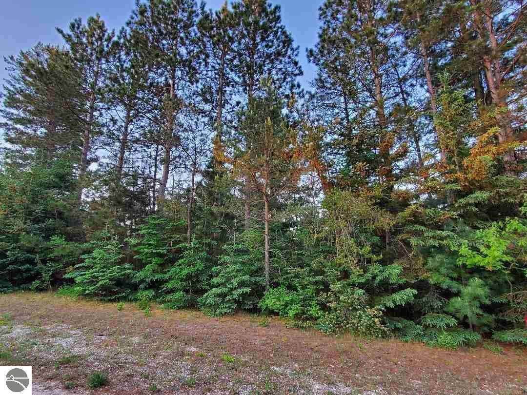 000 Howard Street - Photo 1