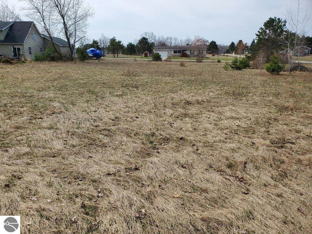 1034 Pyrenees Drive - Photo 1