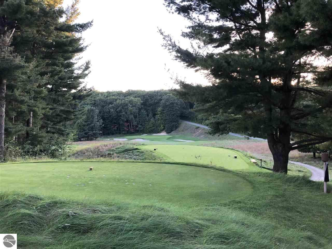 LOT 122 Crystal Downs Drive - Photo 1