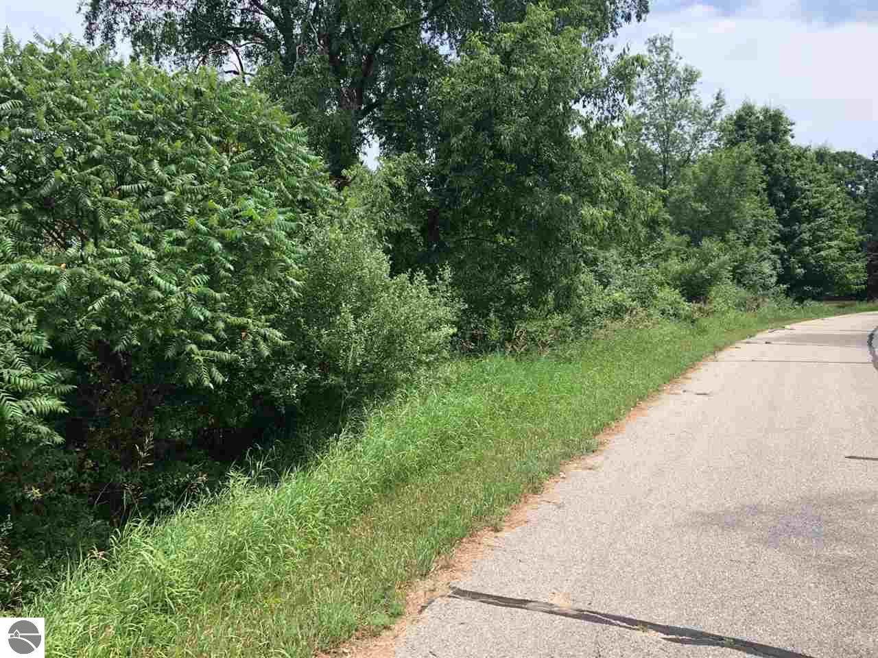 1006/1008 Laredo Drive - Photo 1