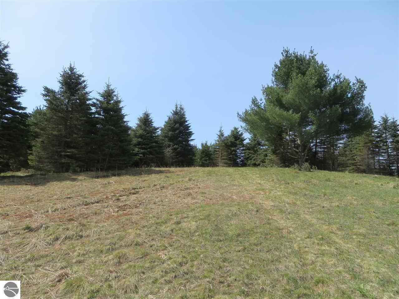 3 Spruce Hollow Trace - Photo 1