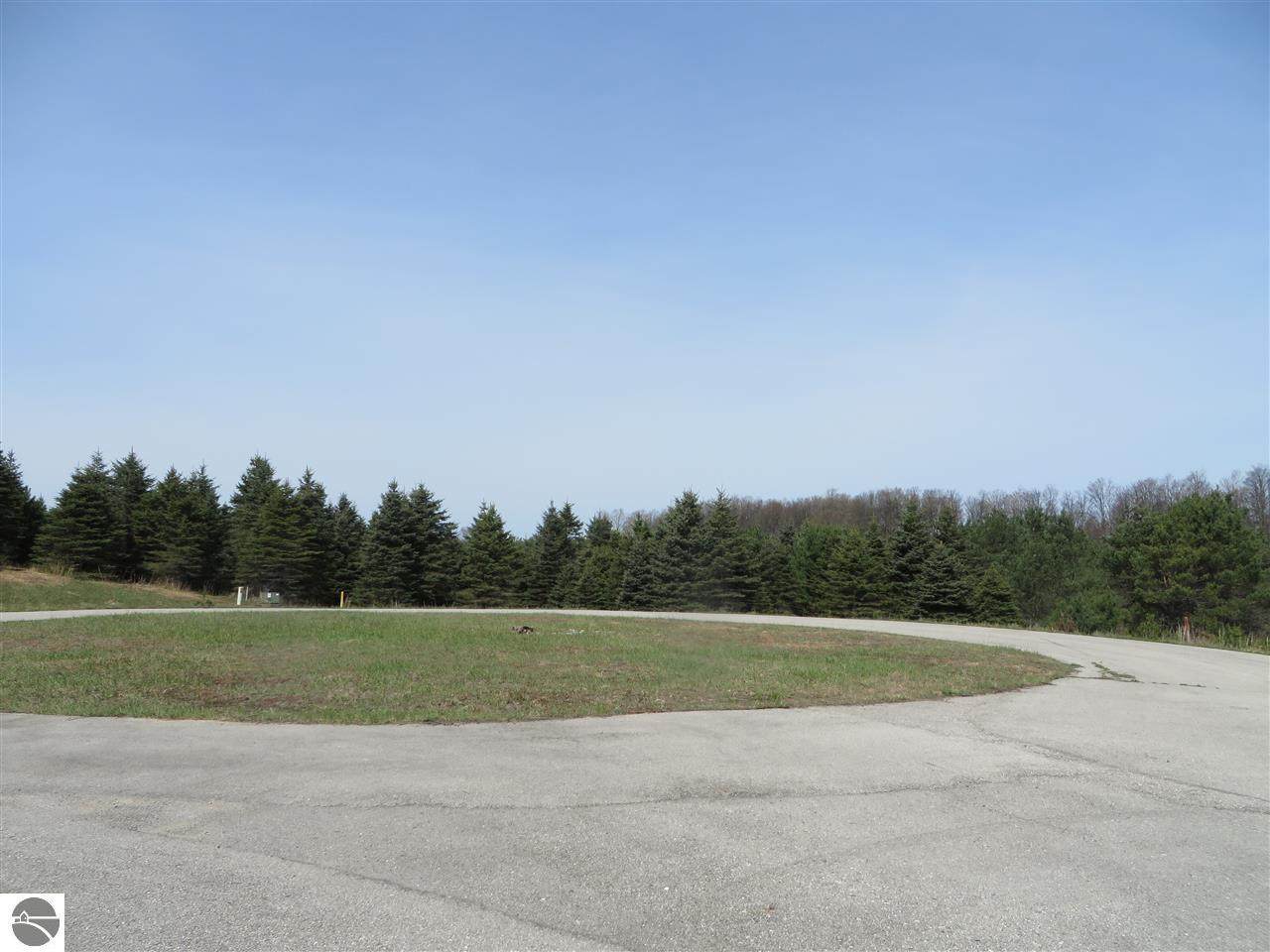 4 Spruce Hollow Trace - Photo 1