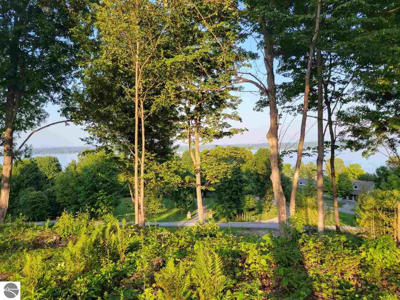 Lot 2 Torch Hills Lane - Photo 1
