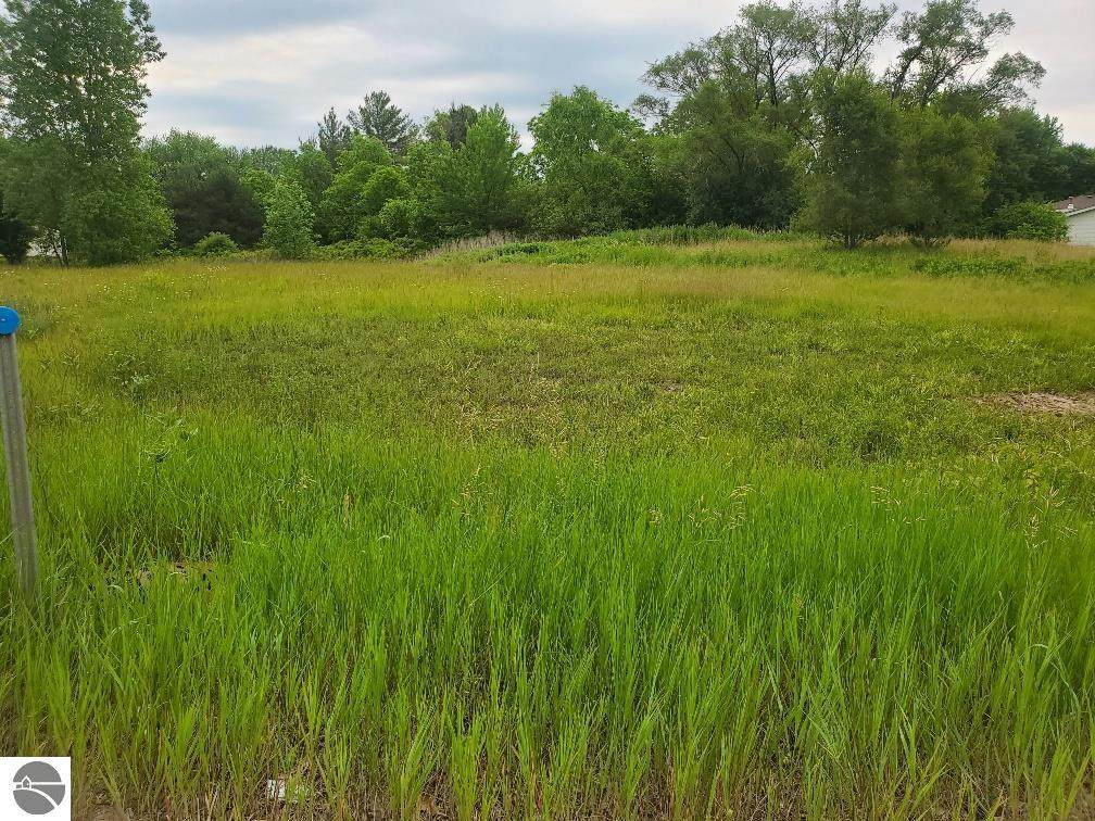 7203 Pickard Road - Photo 1