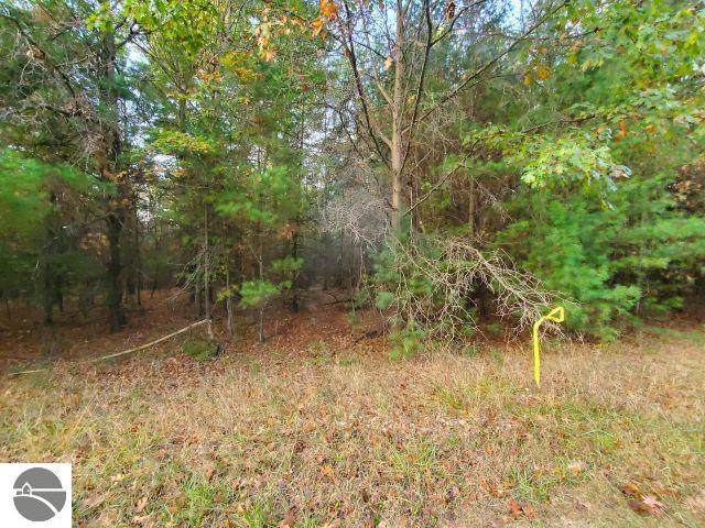 0 Buffalo Trail - Photo 1