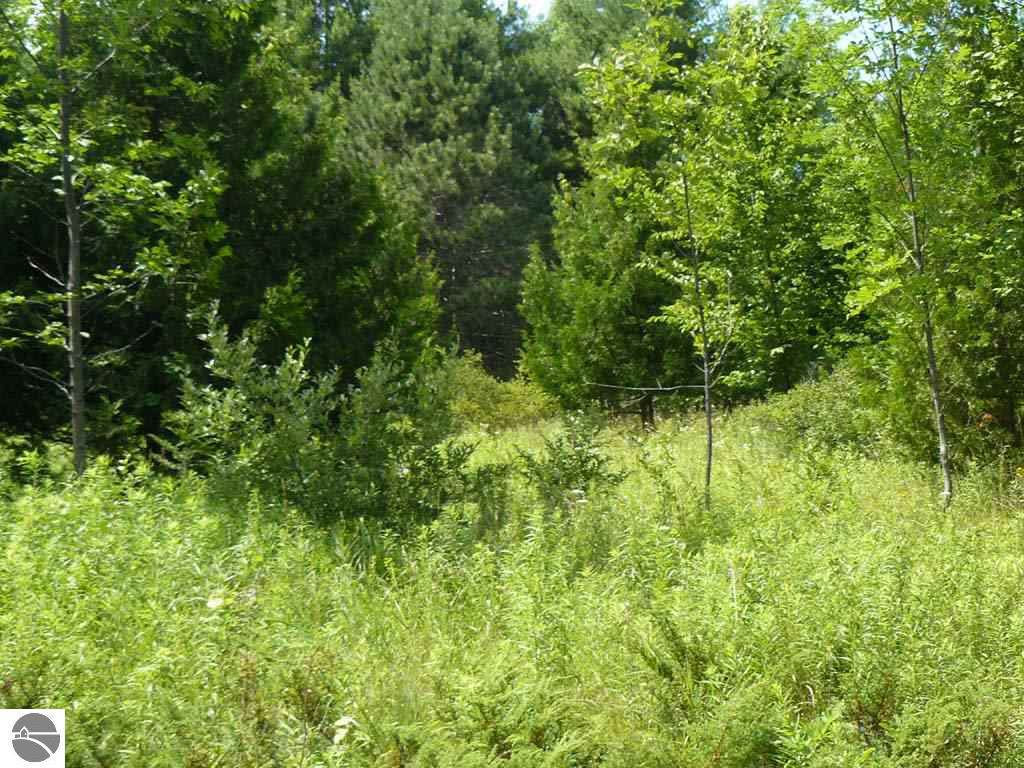1347 Leland Estates Drive - Photo 1
