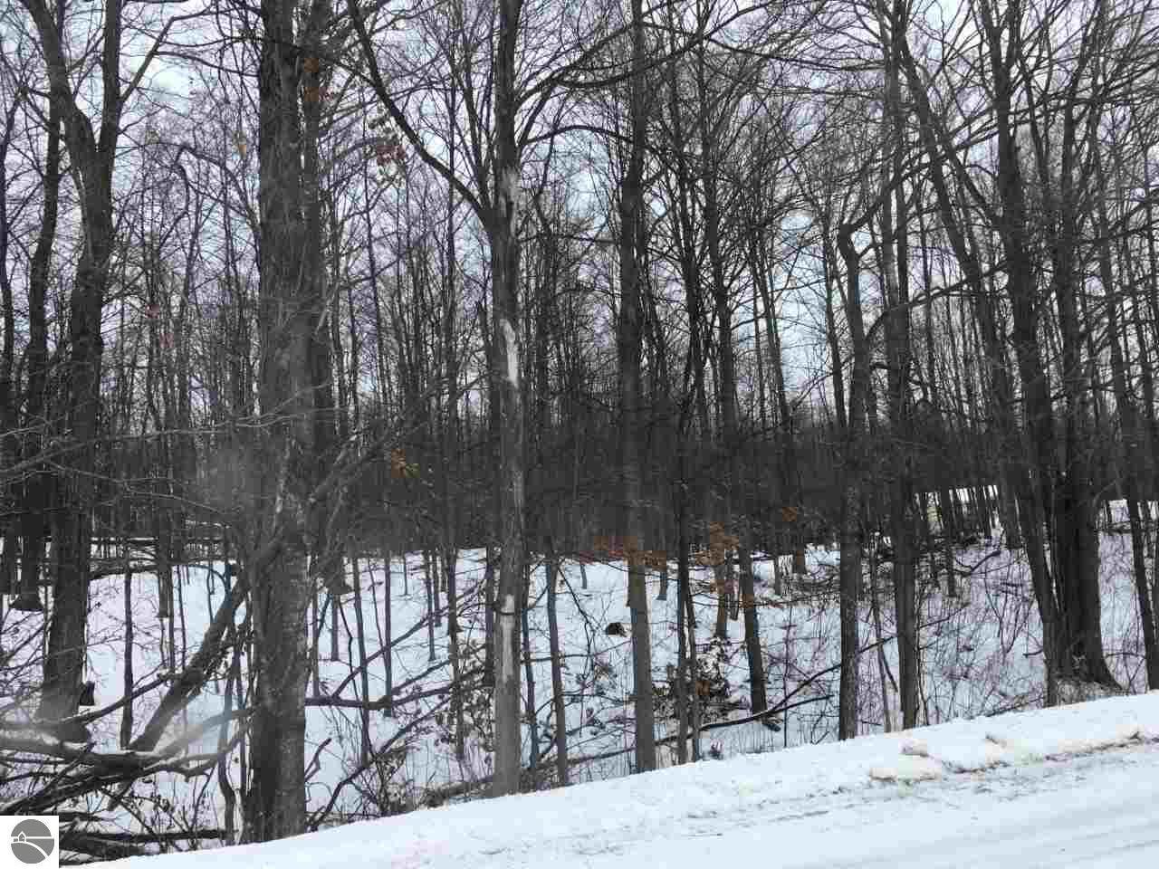 Kasson Center Road - Photo 1