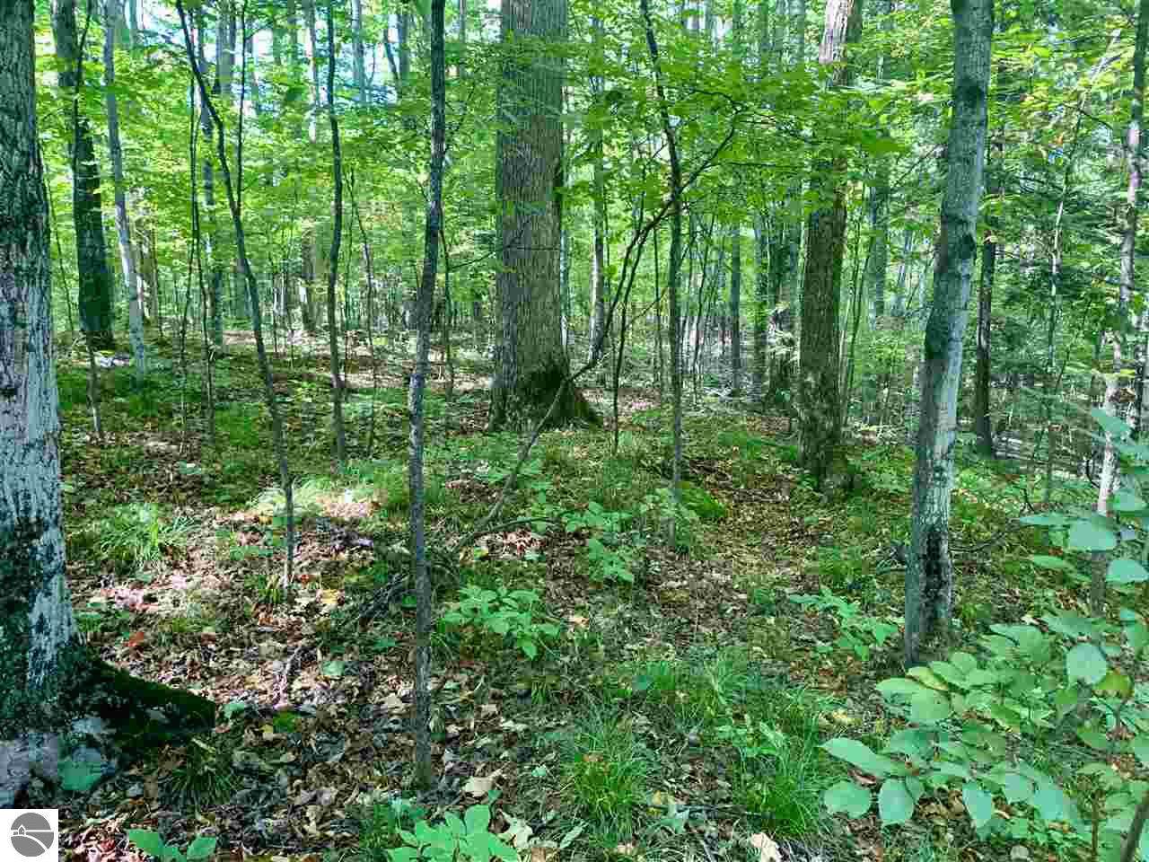 000 Staceywood Circle - Photo 1