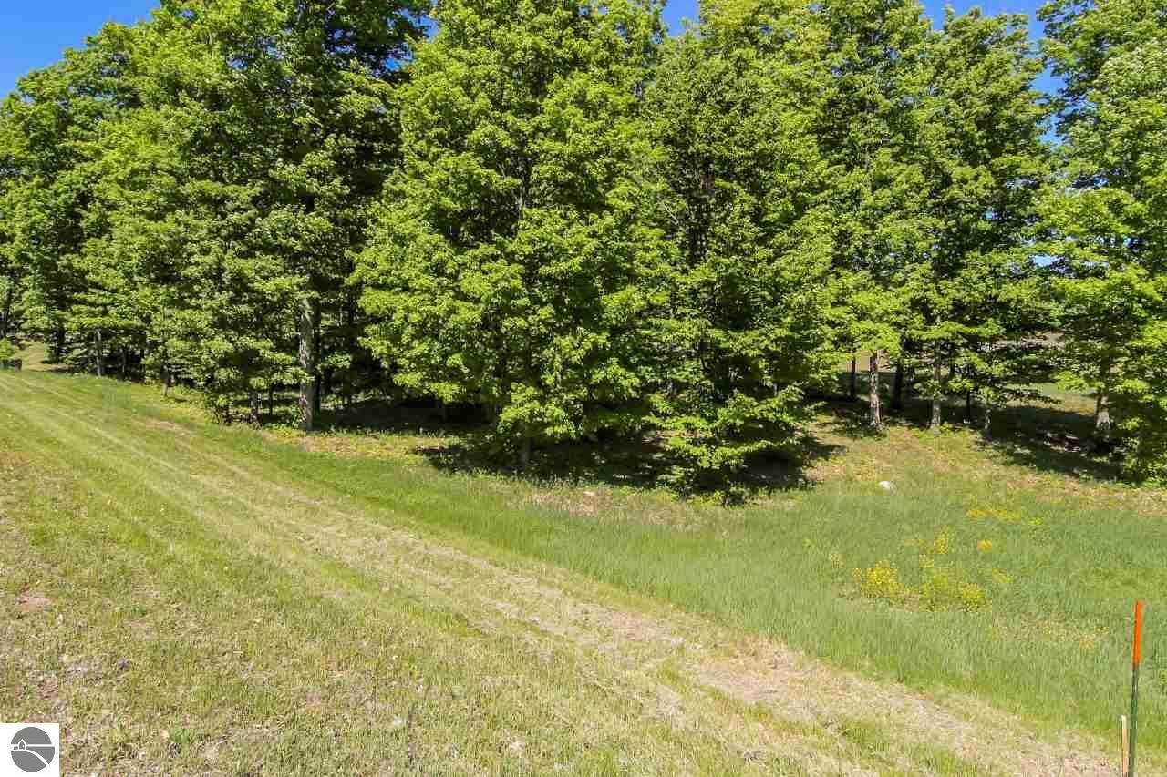 0018 Heather Ridge Trail - Photo 1