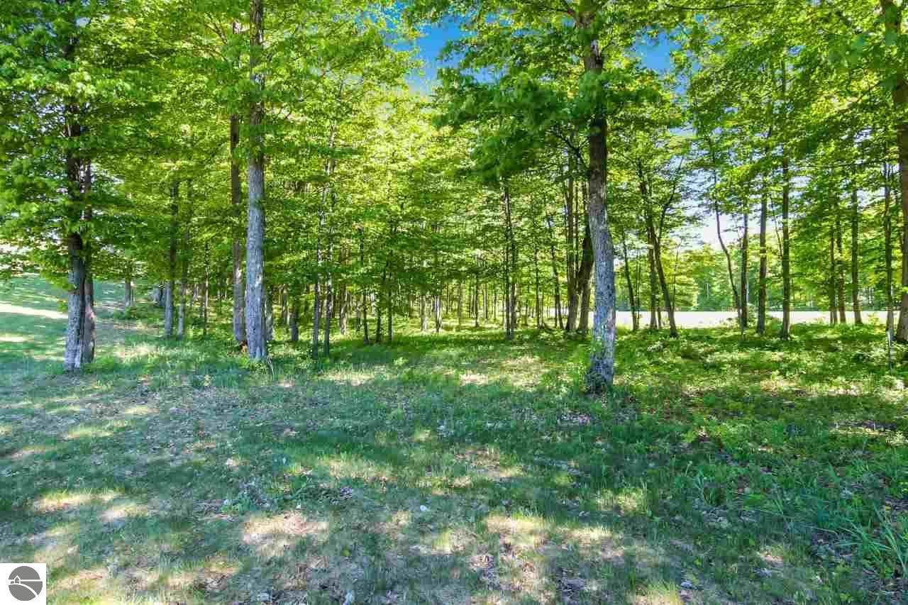 0019 Heather Ridge Trail - Photo 1