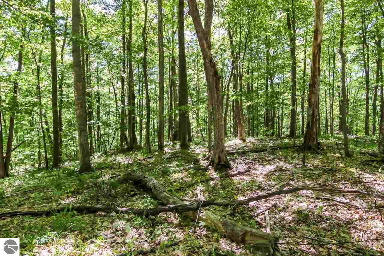 0021 Heather Ridge Trail - Photo 1