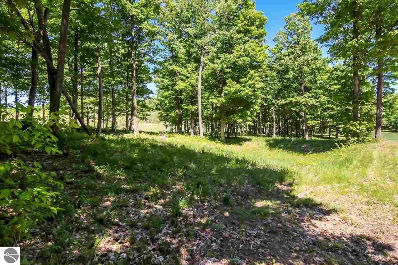 0022 Heather Ridge Trail - Photo 1