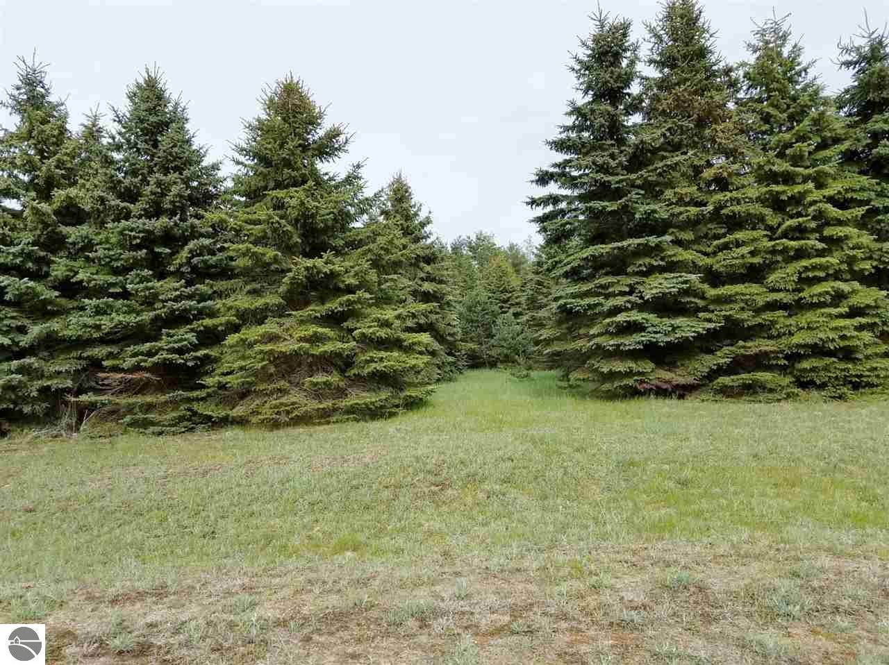 Lot 23 Lipp Farm Road - Photo 1