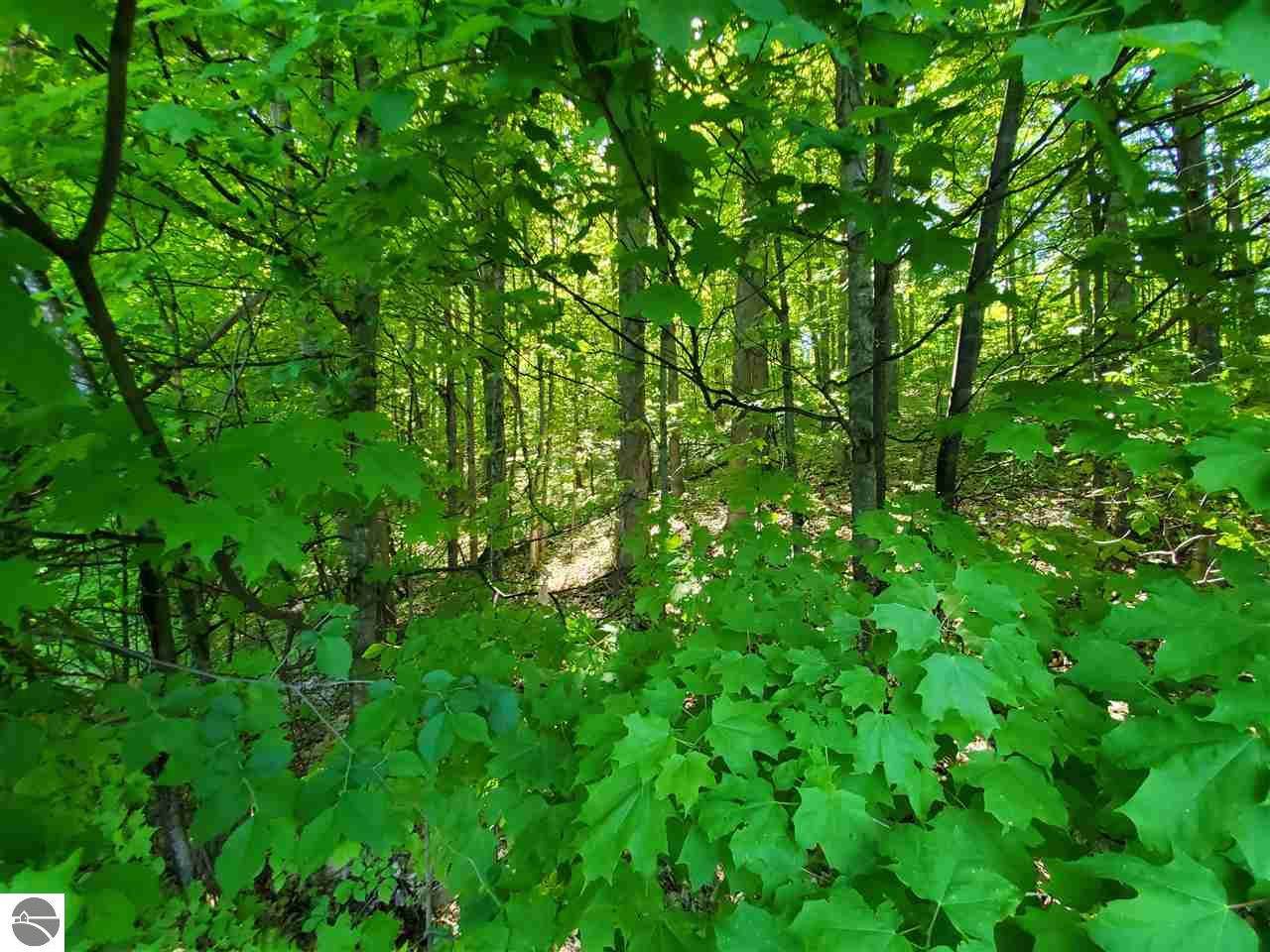 1316 Elk Run - Photo 1