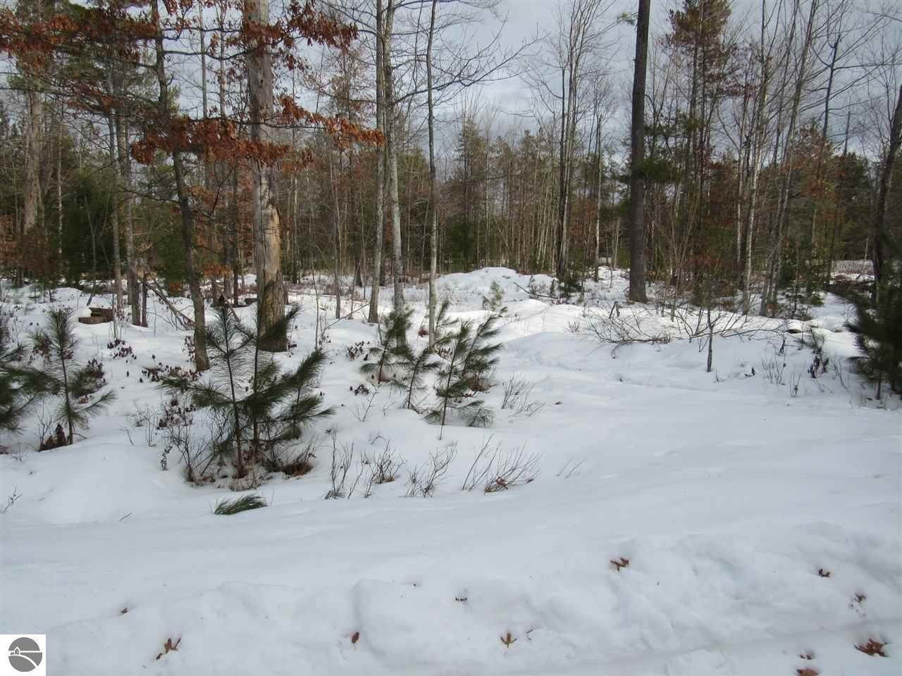 xxx Pine Lodge - Photo 1