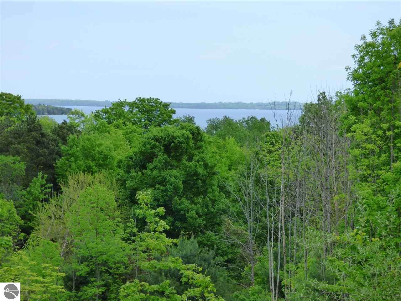 2.7 Acres Bay Valley - Photo 1