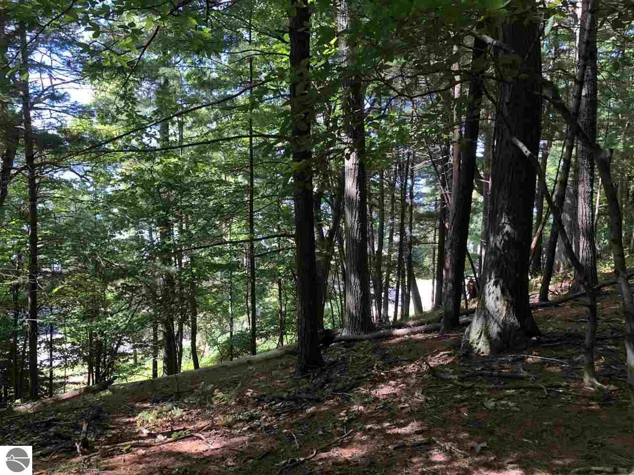 000 Deadstream Road - Photo 1