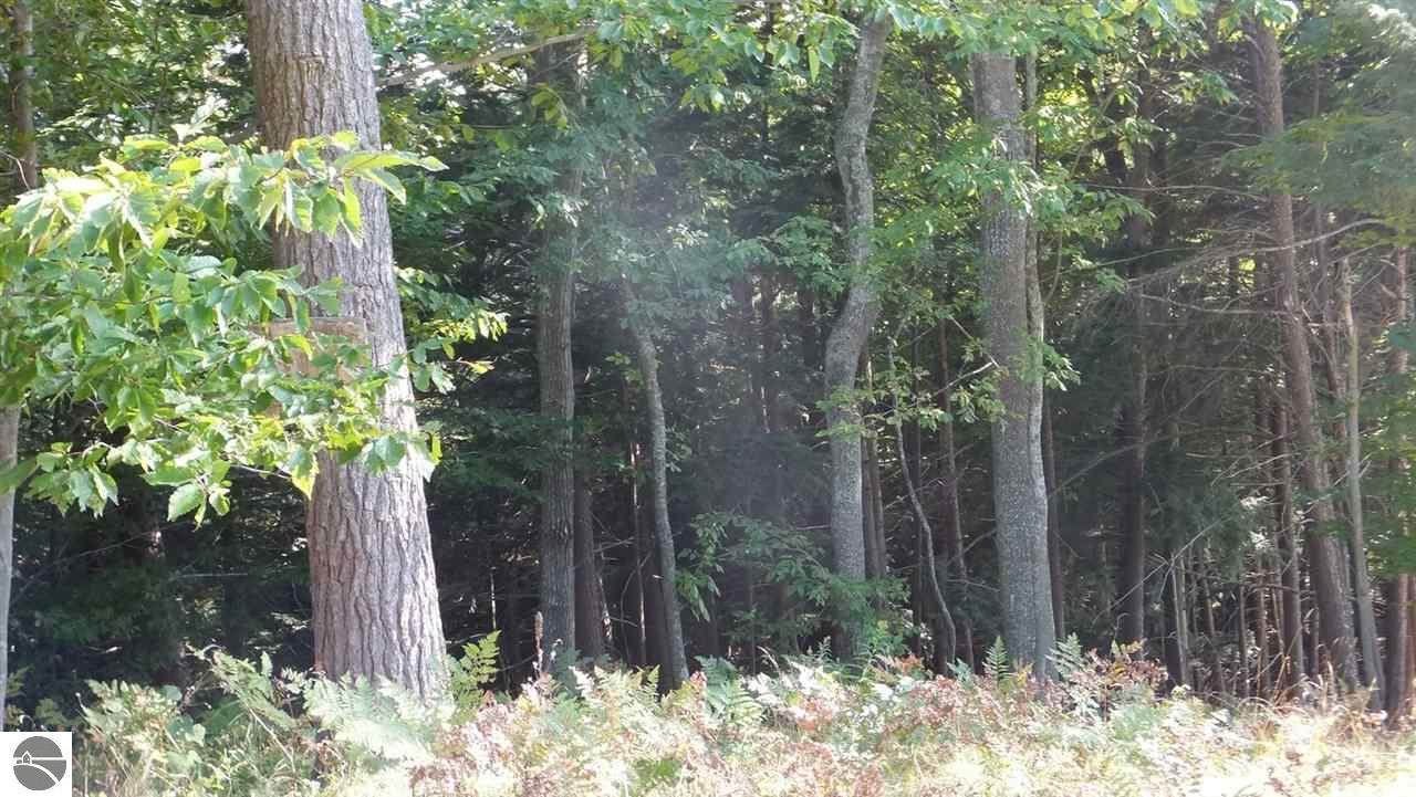 4 White Birch Trail - Photo 1