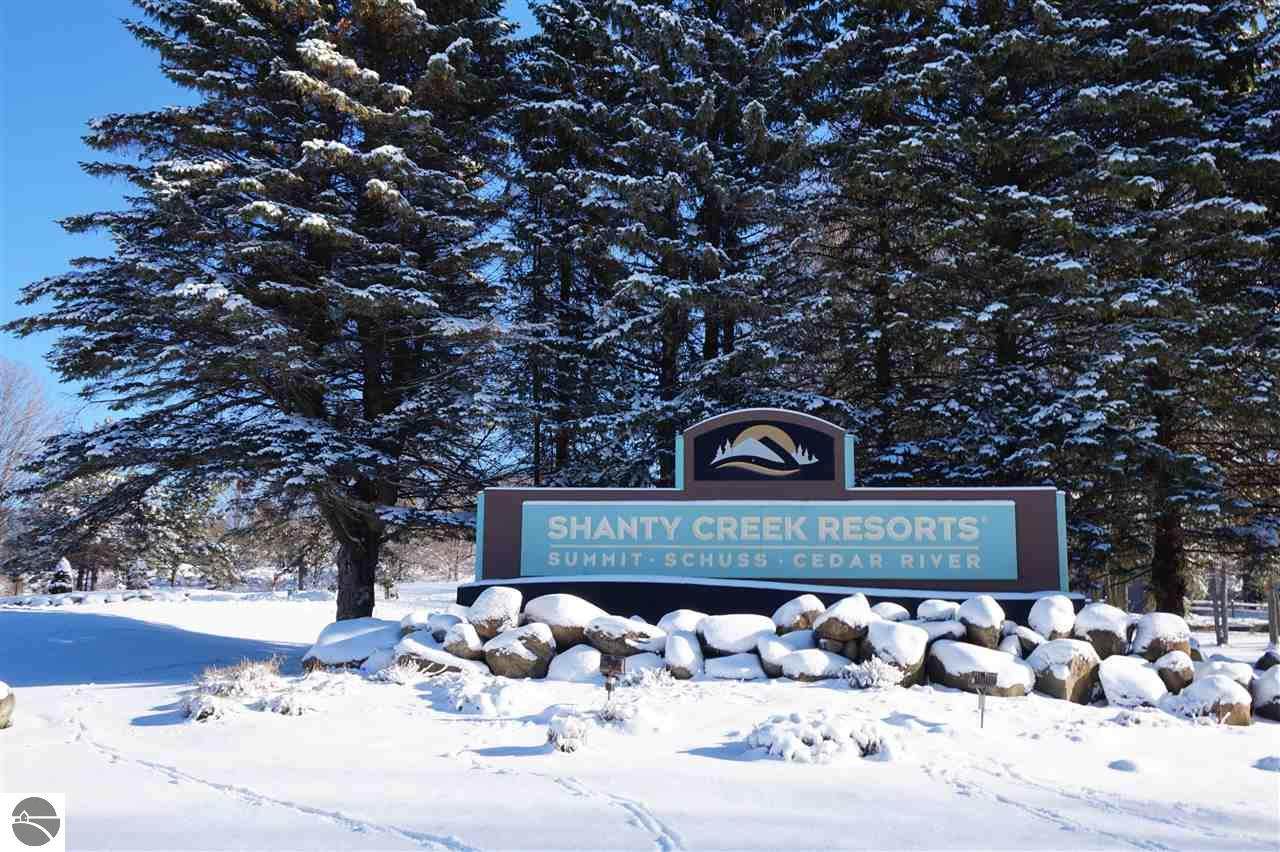 5830 Shanty Creek Road - Photo 1