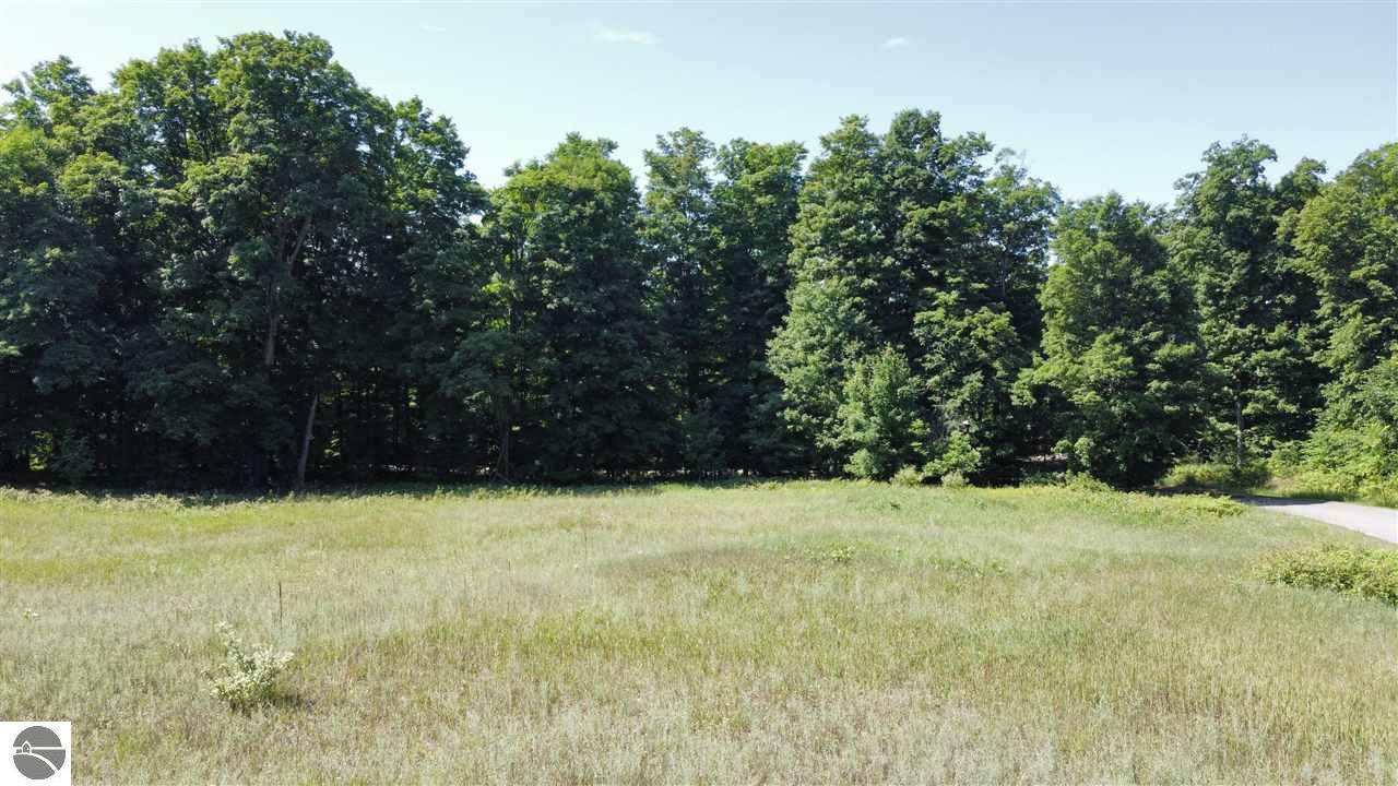 #20 Whitetail Drive - Photo 1
