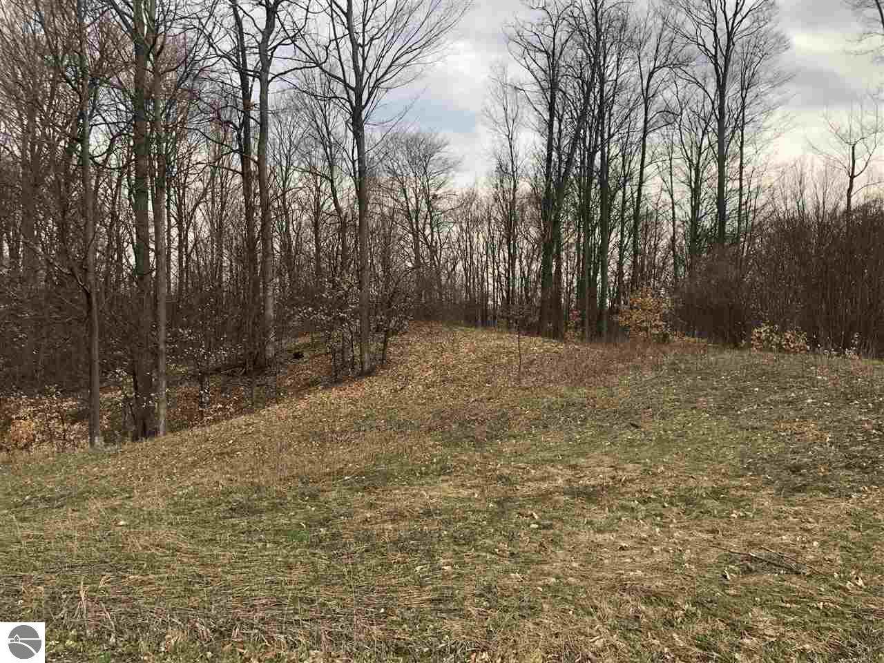 Unit 13 Horton Creek Drive - Photo 1