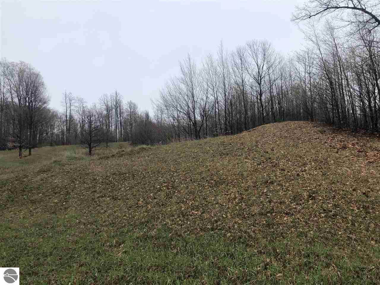 7668 Horton Creek Drive - Photo 1